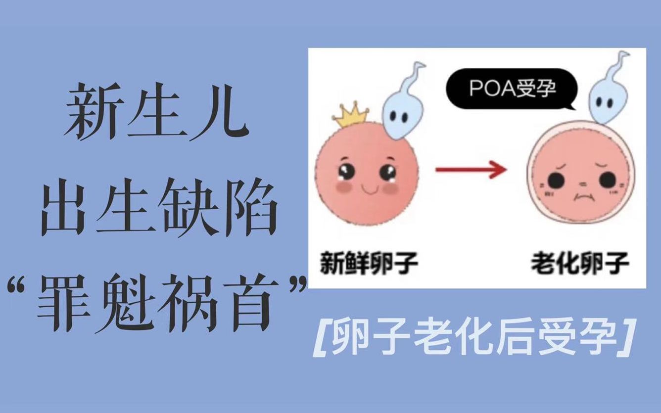 90%的新手父母都不知道“POA受孕”的危害哔哩哔哩bilibili