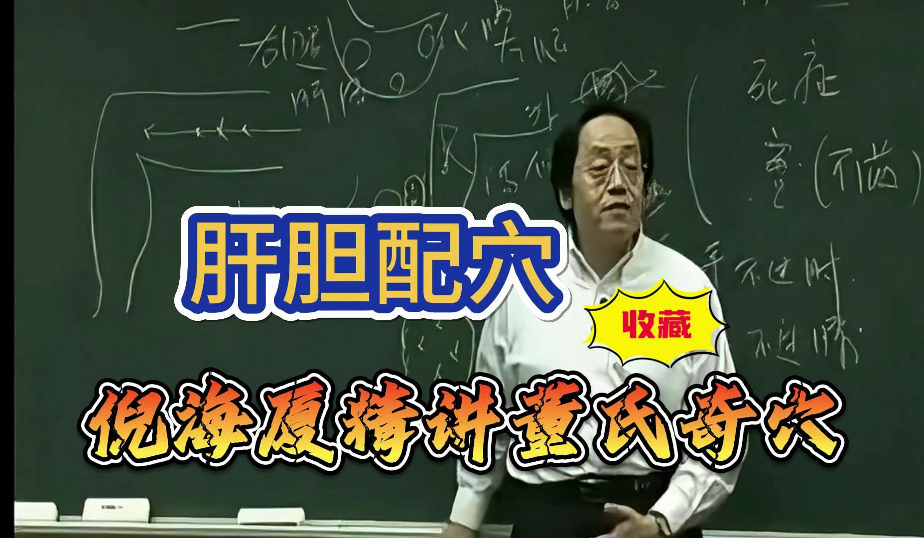 肝胆配穴【倪海厦精讲董氏奇穴】倪海厦唯一董氏奇穴精讲视频超清收藏版哔哩哔哩bilibili