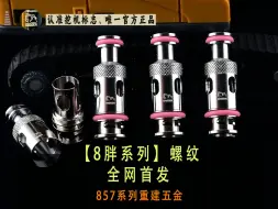 Download Video: 【螺纹讲解】8胖螺纹兼容857proSITKBLOK行李箱挖机重建