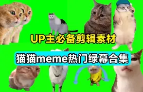 Video herunterladen: UP主必备！B站某音热门绿幕视频素材，180套猫猫meme动态绿幕合集包，含背景图、声音BGM，含使用教程