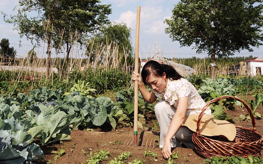 [图]谁说女博士不能种地？