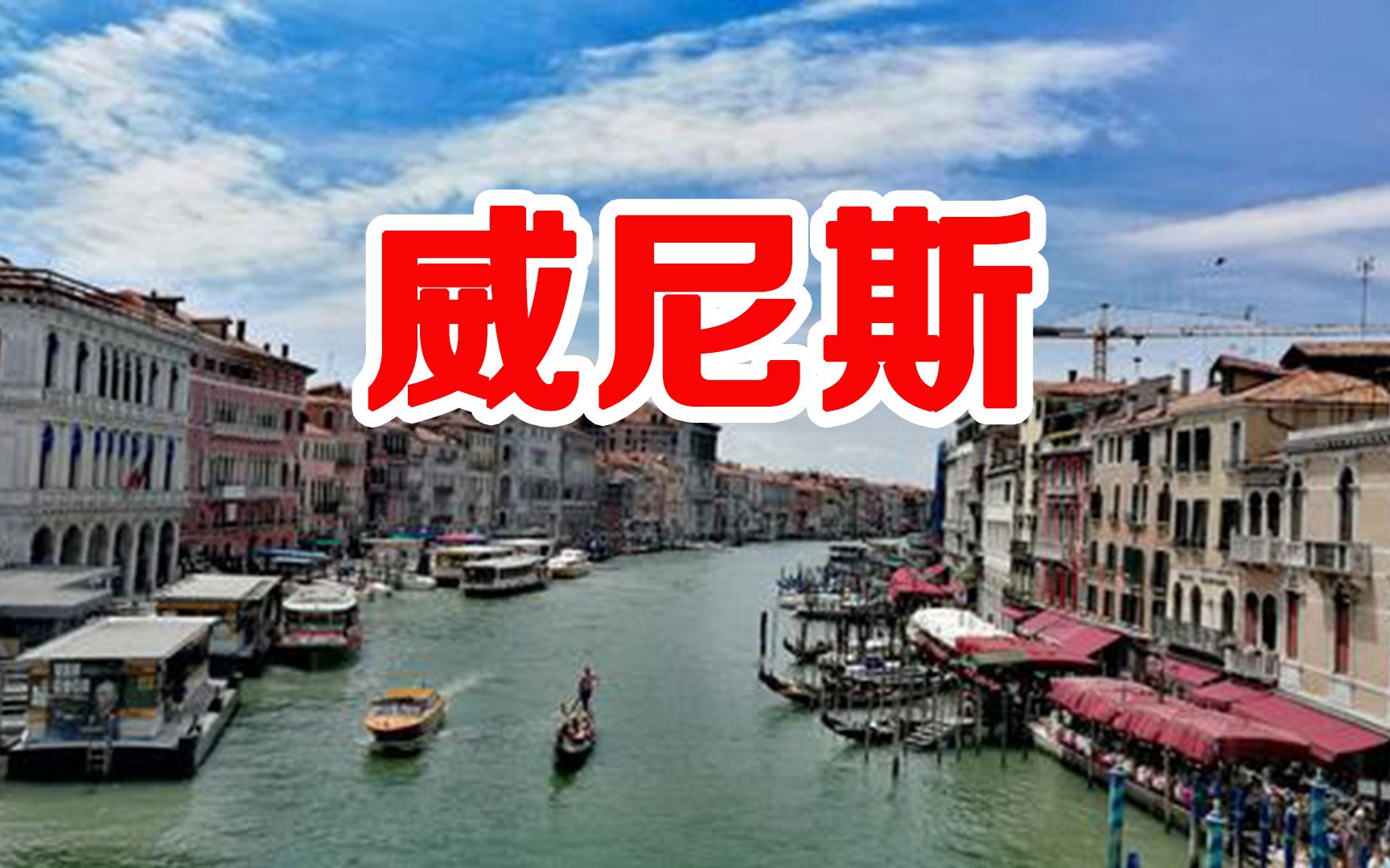 威尼斯Venice哔哩哔哩bilibili