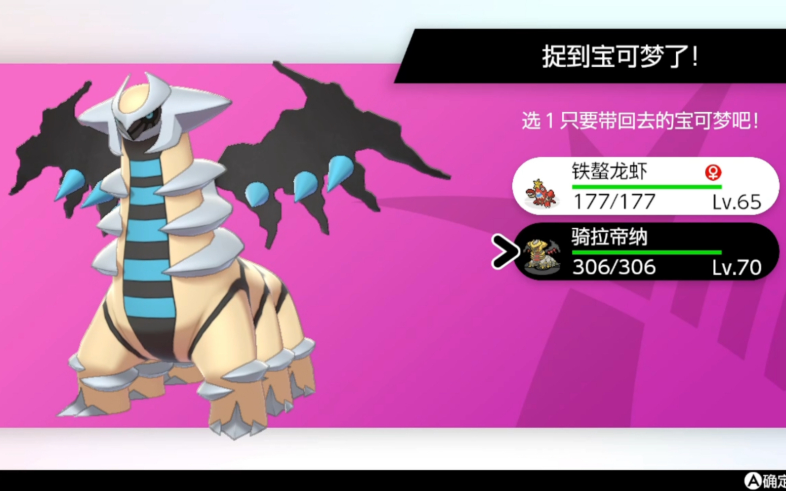 【宝可梦剑盾】极巨大冒险 闪光骑拉帝纳 get!