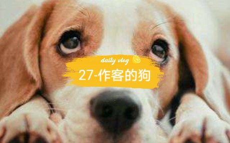 28作客的狗哔哩哔哩bilibili