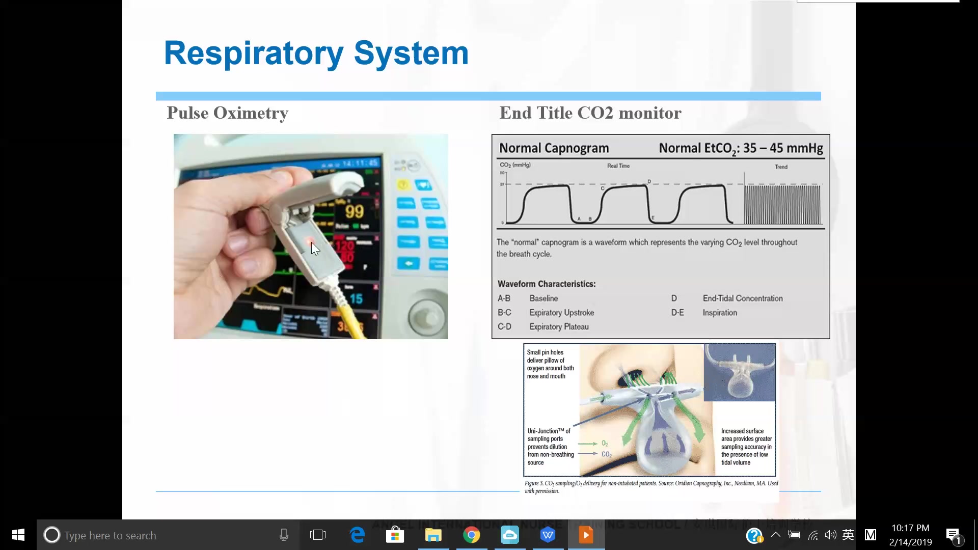 国际护士证RN ISPN考试之55期基础护理Postoperative Nursing CareRespiratory System哔哩哔哩bilibili