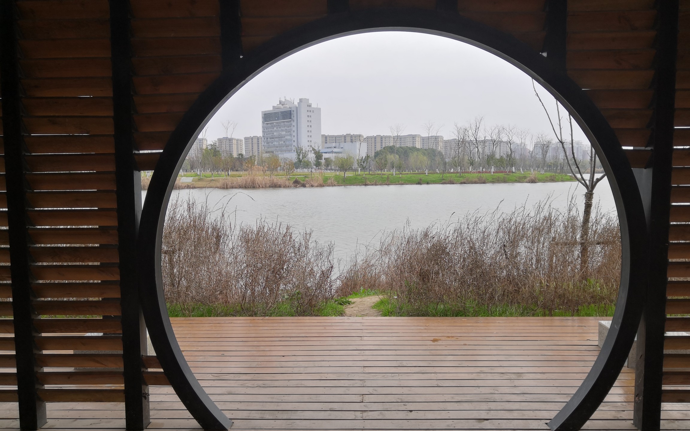 芜湖汀棠公园在家宅了近一个月终于出门啦