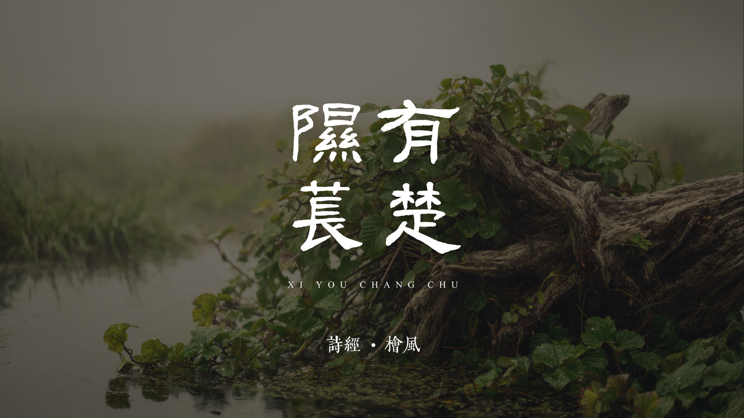 桧风 · 隰有苌楚