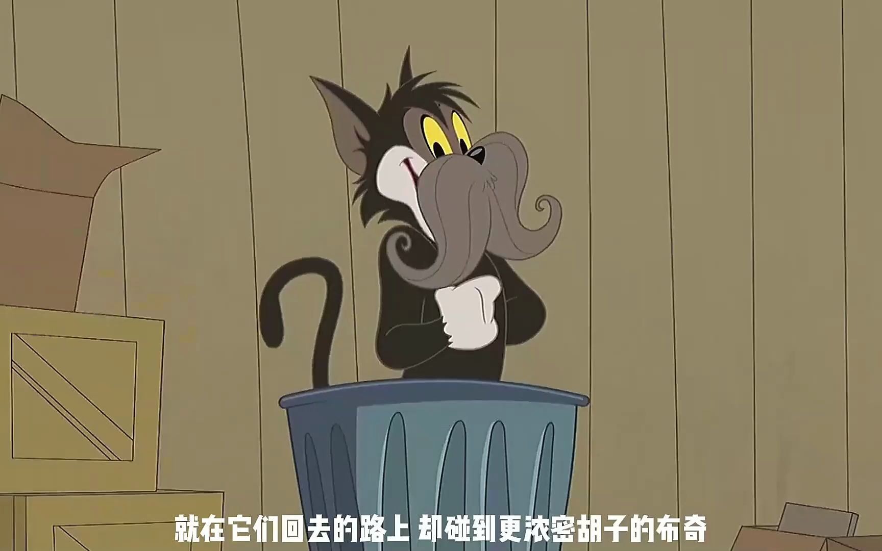 1 猫和老鼠:汤姆长出帅气的大胡子,终于在布奇面前扬眉吐气了一次