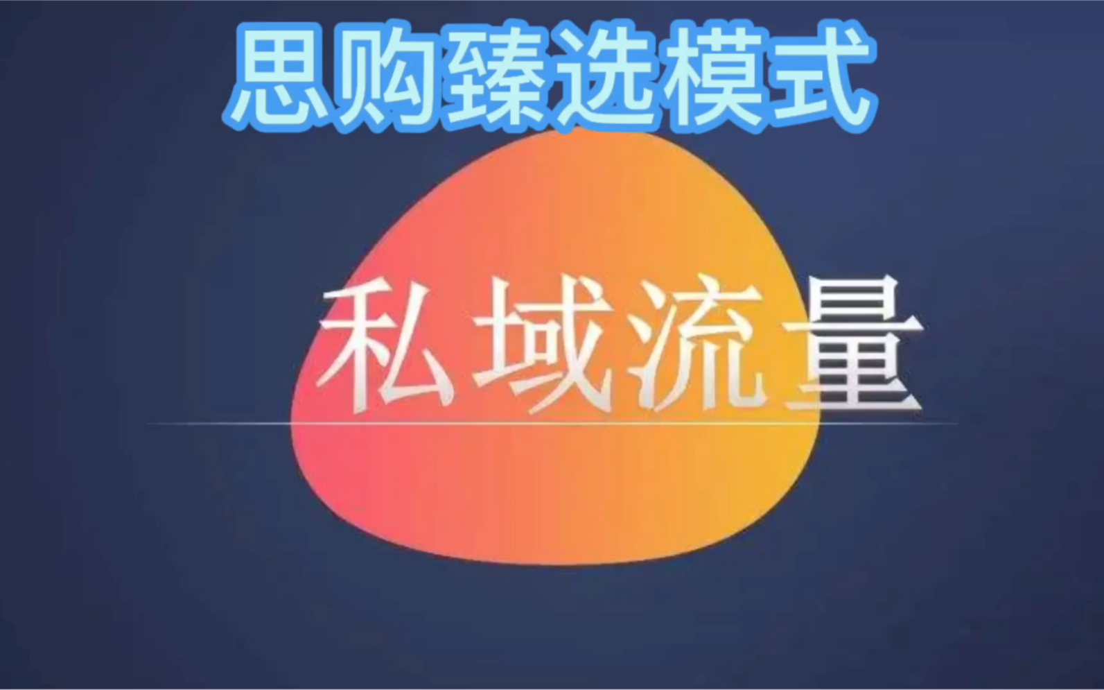 私域秒杀营销:思购臻选模式哔哩哔哩bilibili