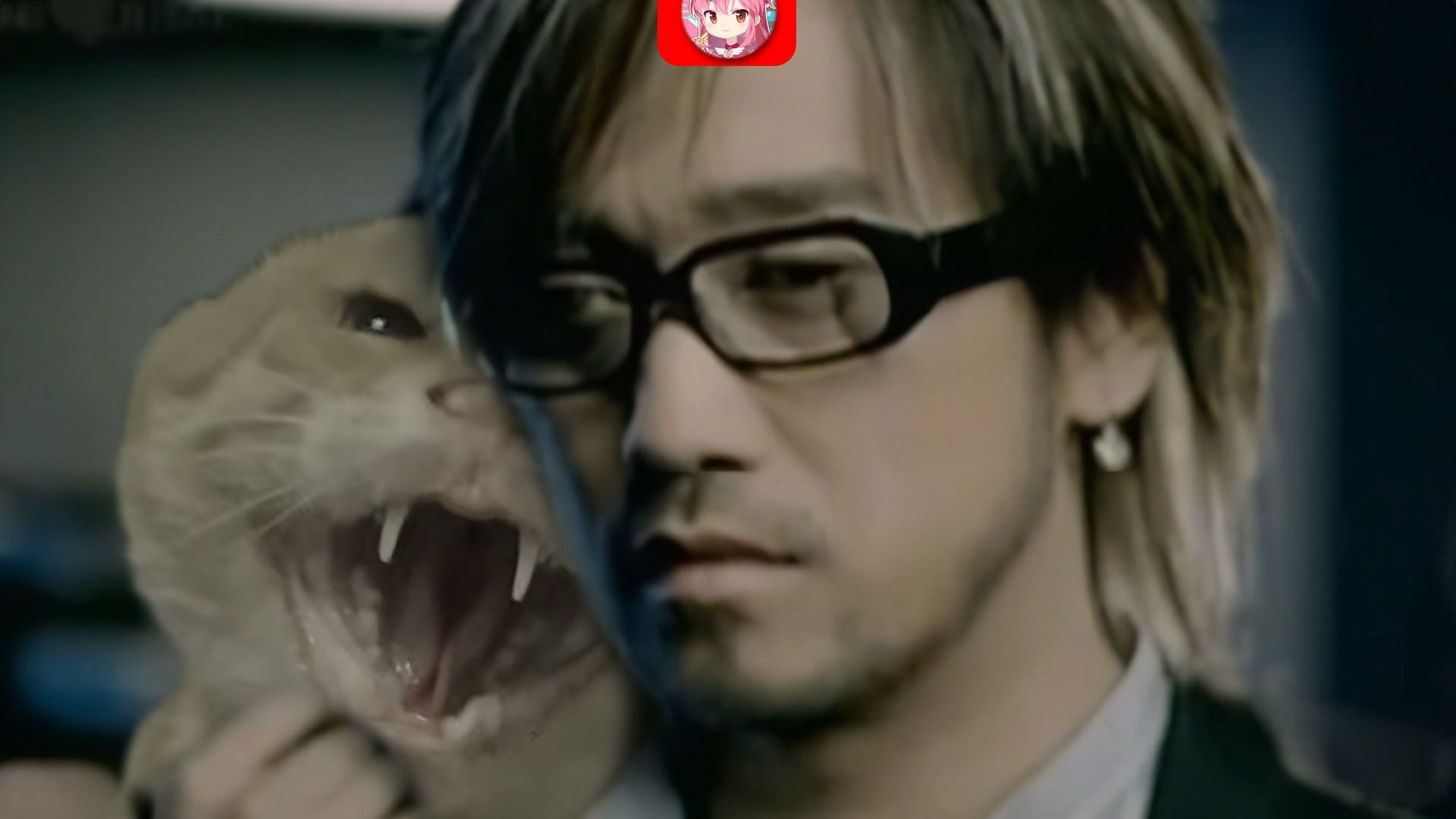 【哈基米FM】基米沙洲冷