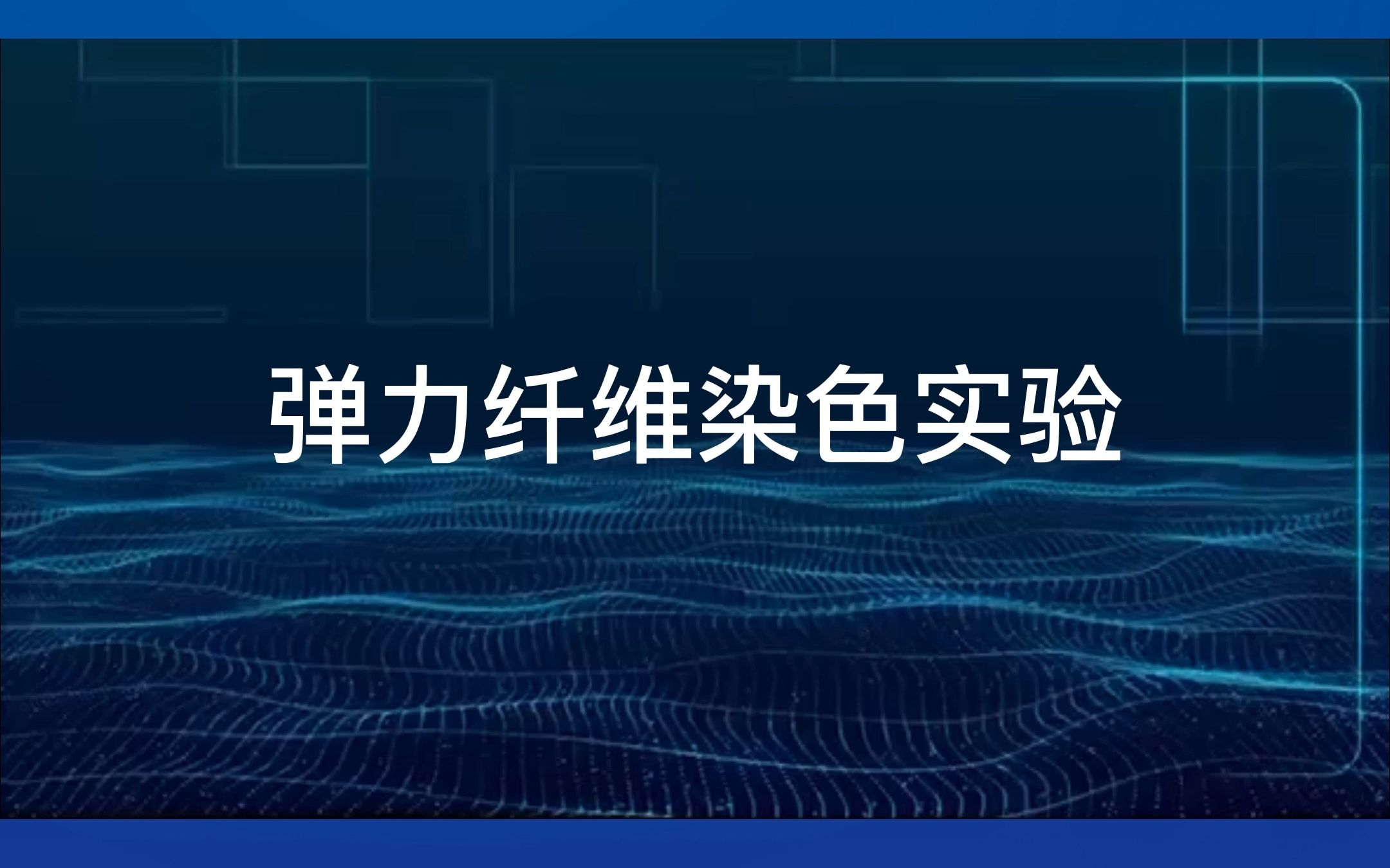 科研入门@弹力纤维染色实验哔哩哔哩bilibili