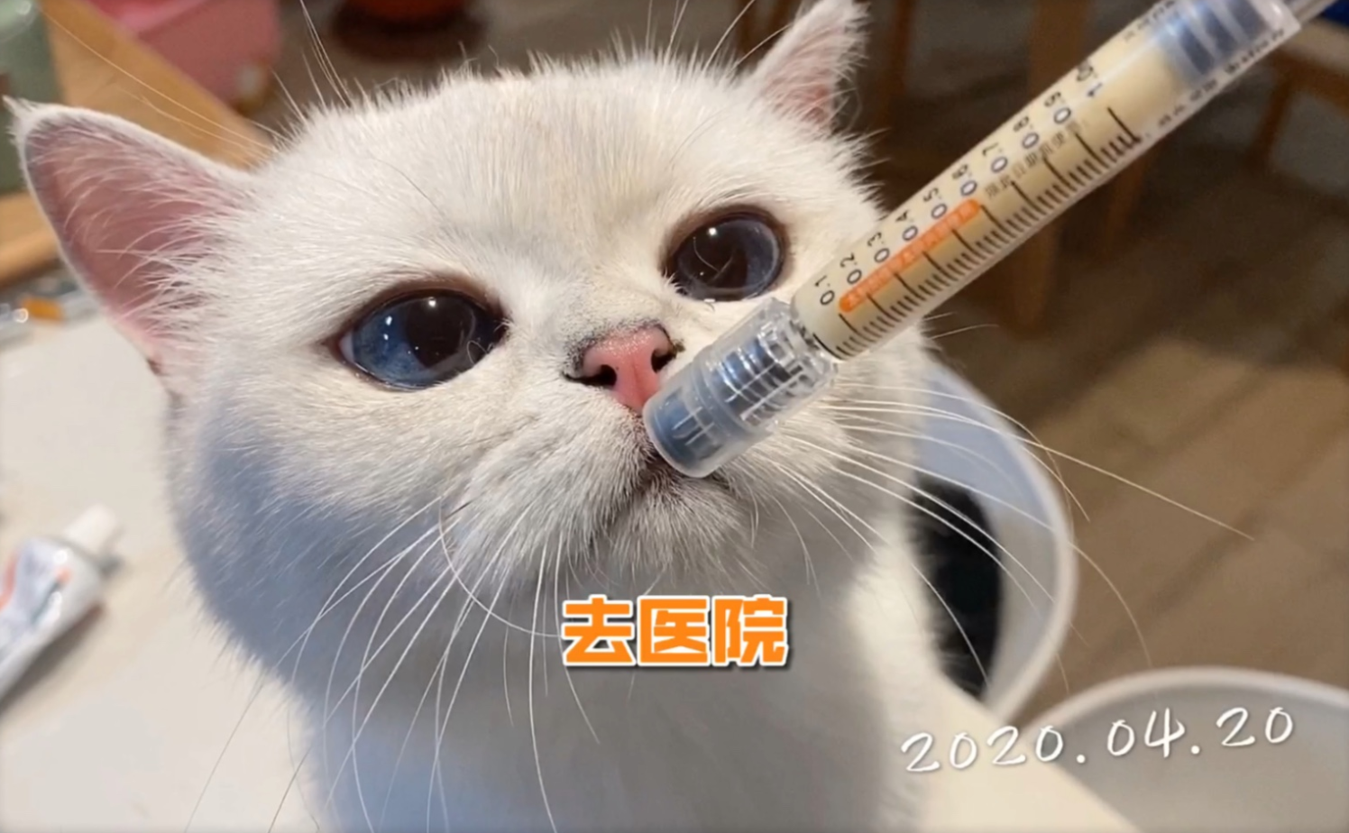 晚晚最近瘦了胃口也不好带她去医院做检查小朋友都很害怕医生