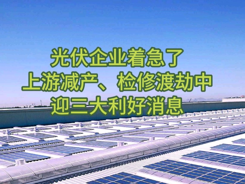 光伏企业着急了,上游减产、检修渡劫中,迎三大利好消息哔哩哔哩bilibili