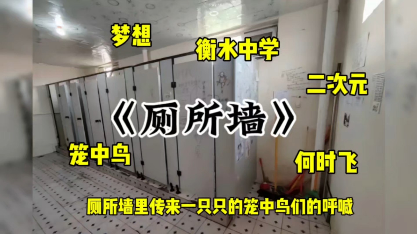 在学校厕所墙里,传来了一声声笼中鸟的呼唤.生病的同学之厕所墙.哔哩哔哩bilibili