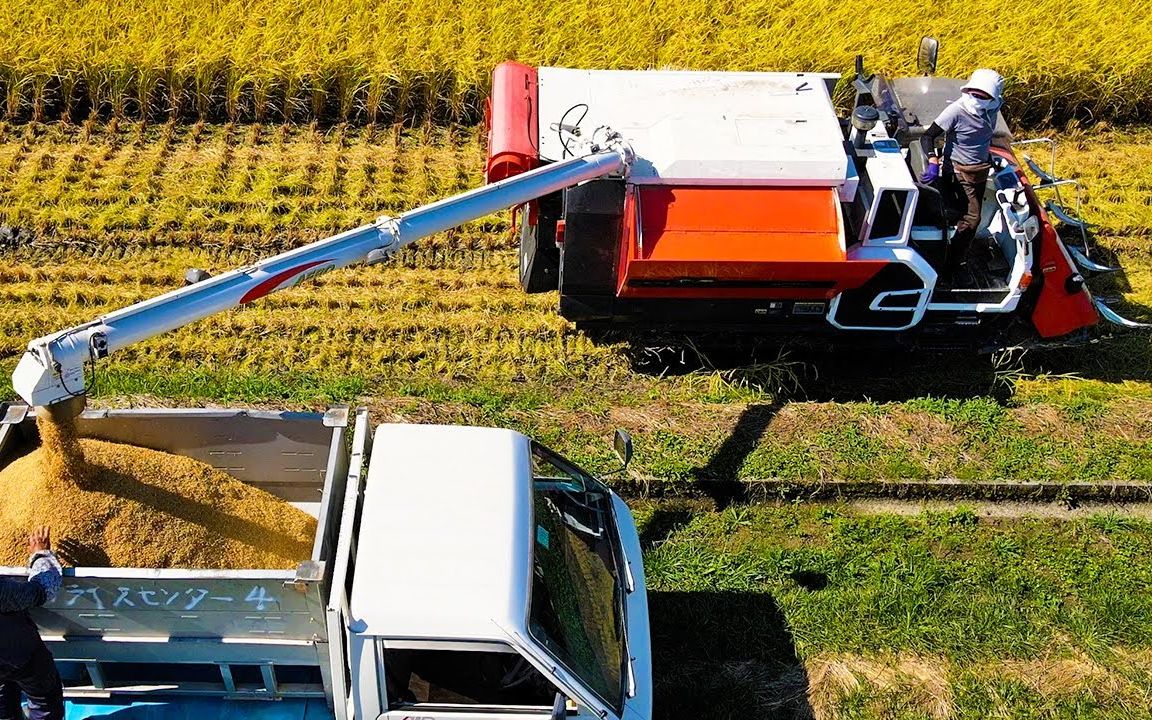 日本的水稻收割机有多先进?款式多样功能实用,不愧是科技强国!
