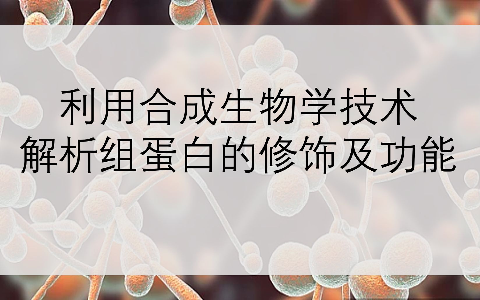 利用合成生物学技术解析组蛋白的修饰及功能哔哩哔哩bilibili