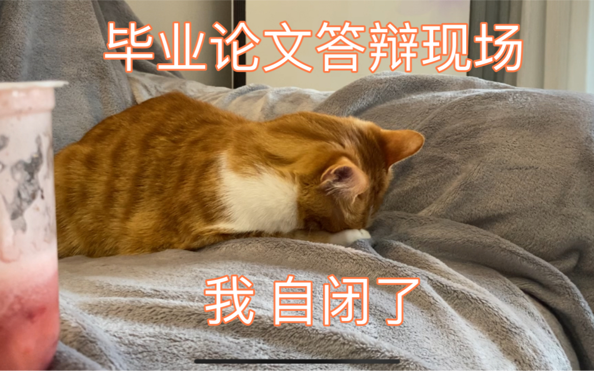 猫:毕业论文答辩太难了!哔哩哔哩bilibili