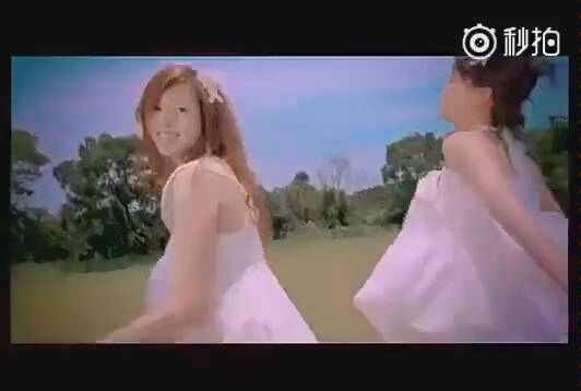 曾之乔樱花草MV 辰亦儒曾之乔结婚哔哩哔哩bilibili