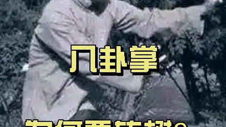 八卦掌转树是在练什么?哔哩哔哩bilibili