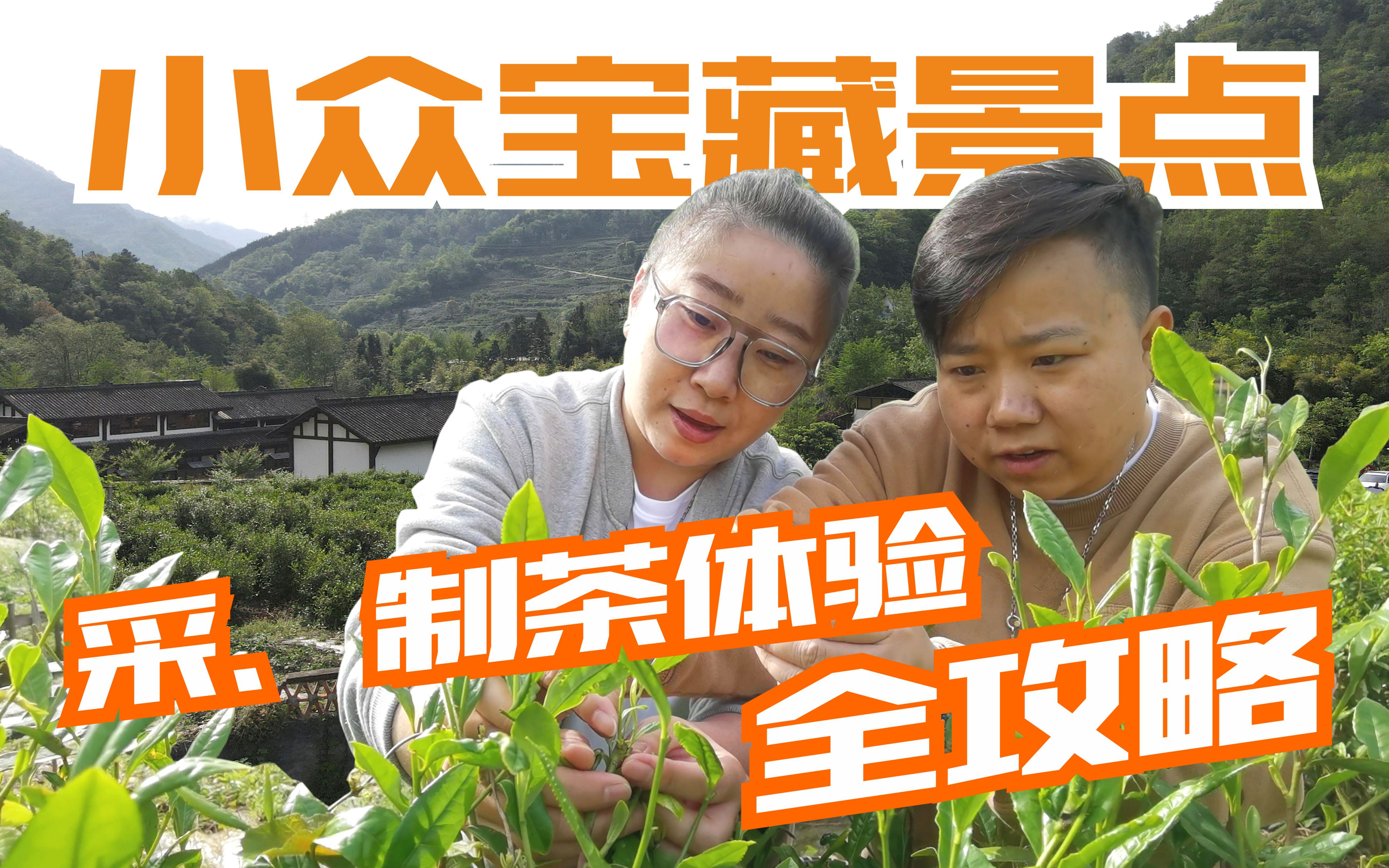 【坐标绵阳】采茶制茶,好吃好玩的小众宝藏地——禅茶清谷全体验攻略!哔哩哔哩bilibili