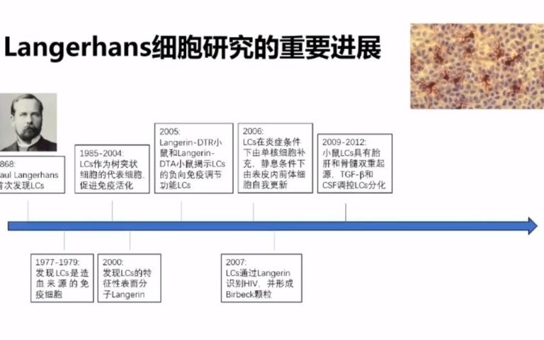 朗格汉斯细胞的前世今生上海华山医院(李巍教授)哔哩哔哩bilibili