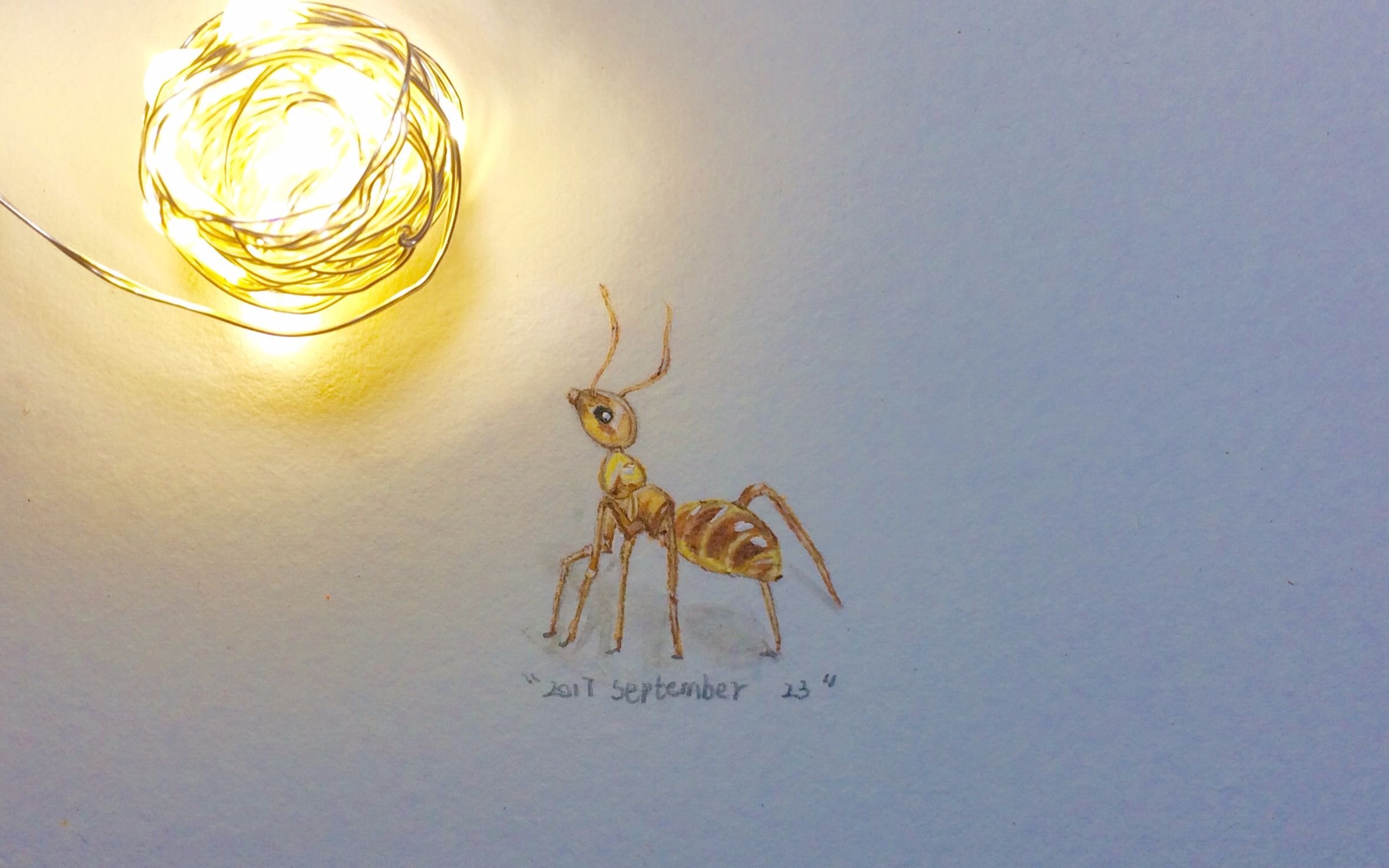 【腾鸾阁】立体水彩手绘微型画 【小蚂蚁】