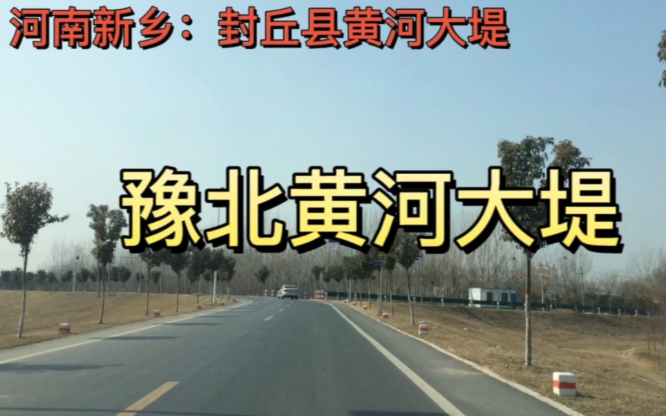 河南新乡:豫北新乡市封丘县黄河大堤,风光无限好!