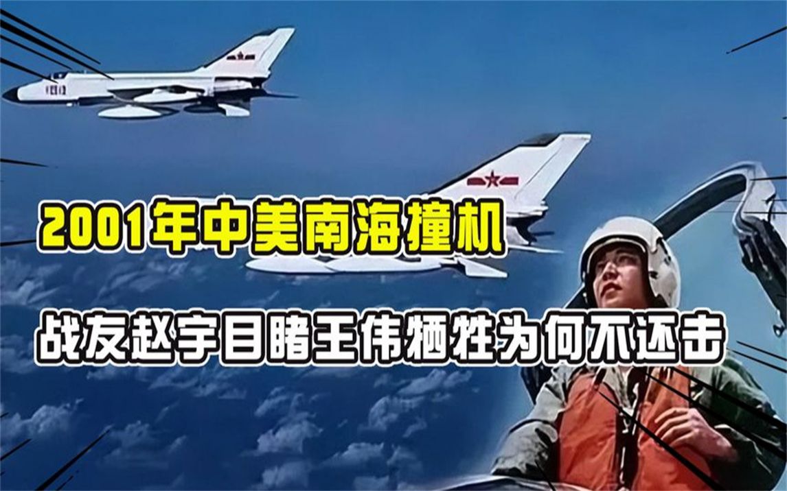 2001年中美南海撞機,戰友趙宇目睹王偉犧牲,為何卻不開炮還擊?