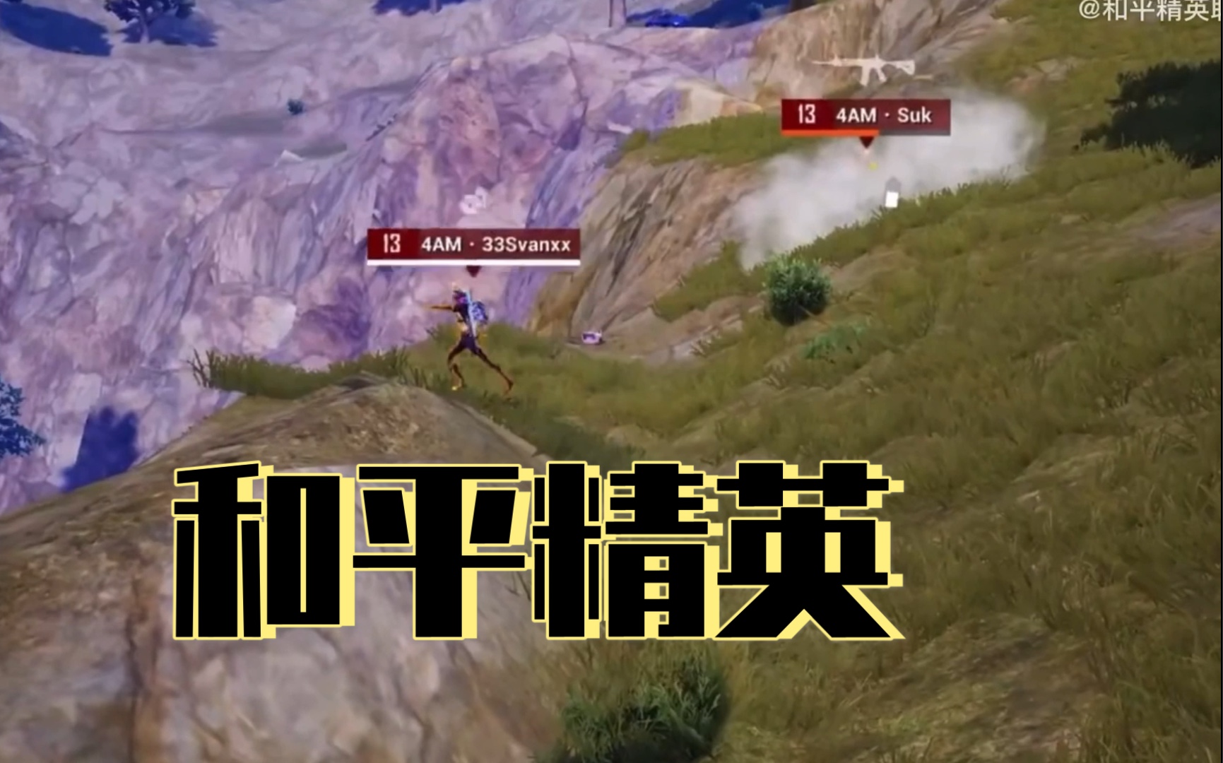 和平精英 pel 2021 s2 总决赛