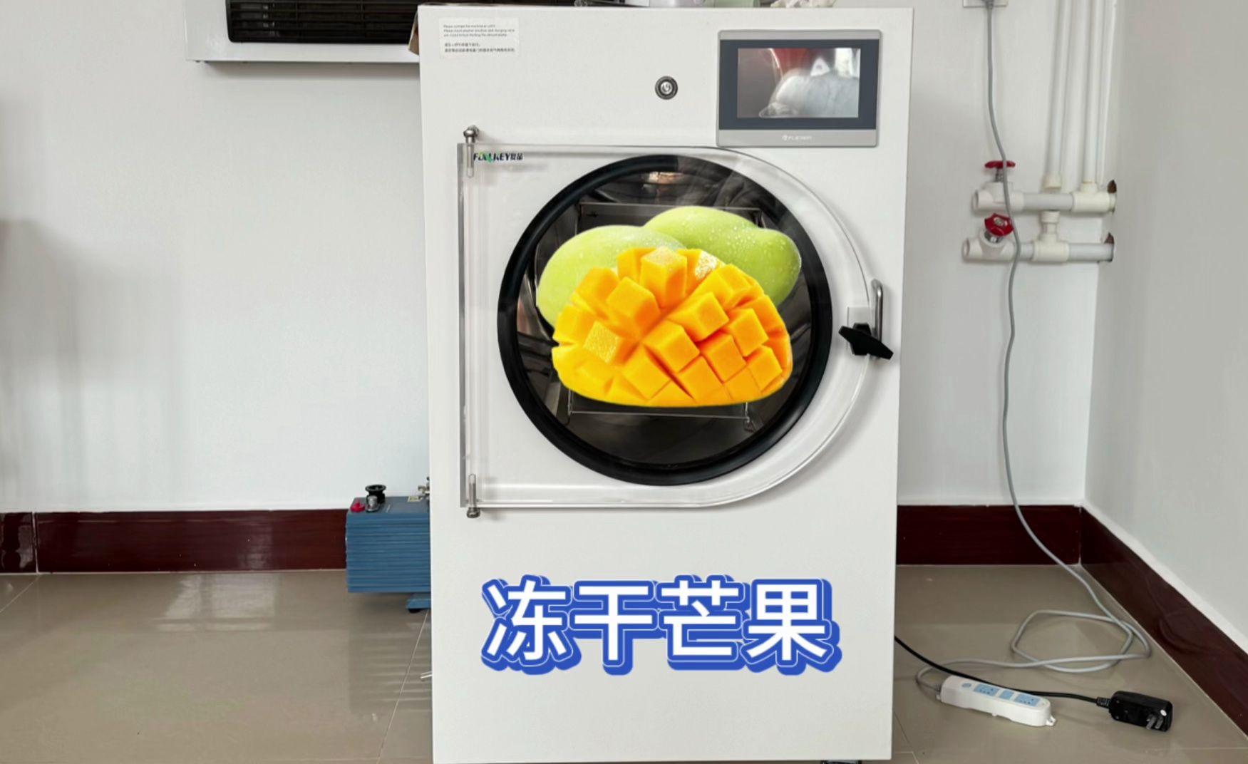 把芒果放进冻干机,冻干芒果,芒果干