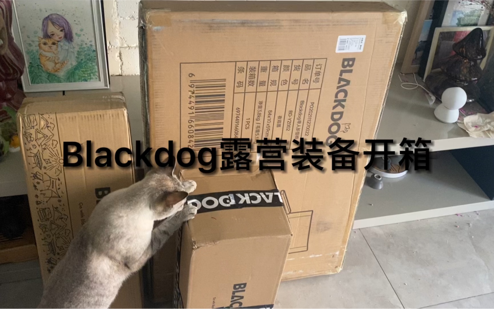 [图]blackdog黑狗露营装备开箱