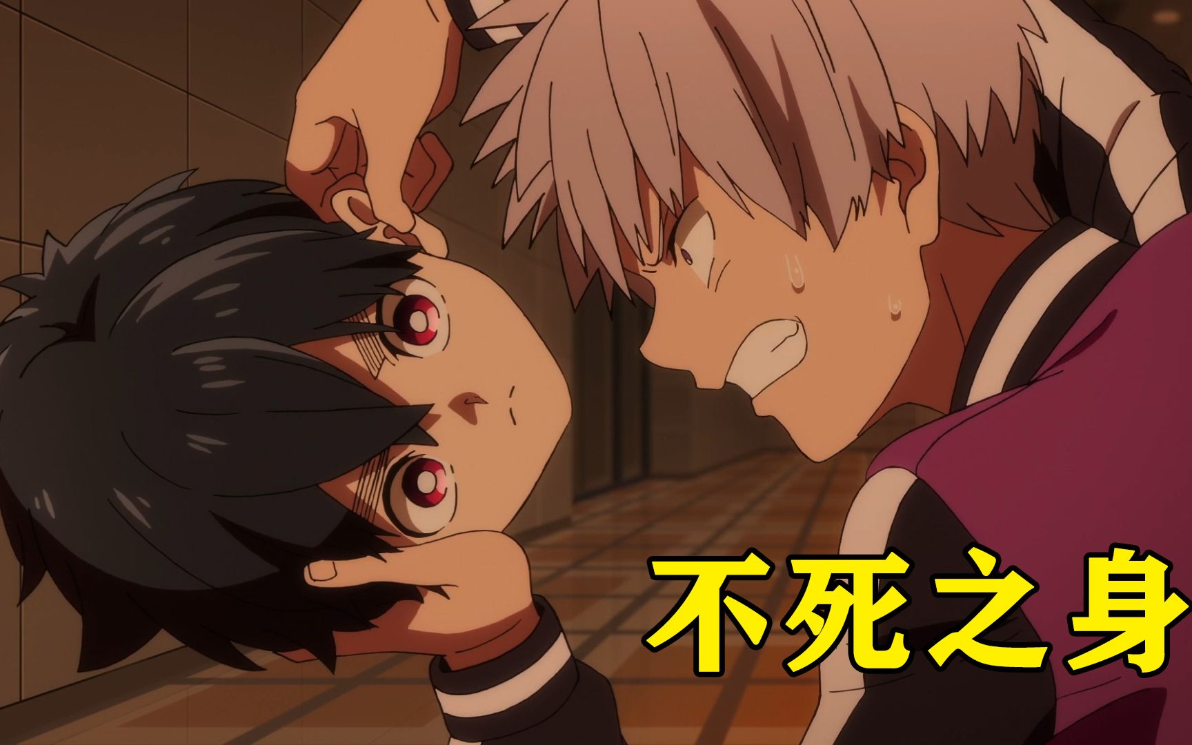 一月妖怪新番半妖之子被狐妖偷袭即使只有一个头也能复活
