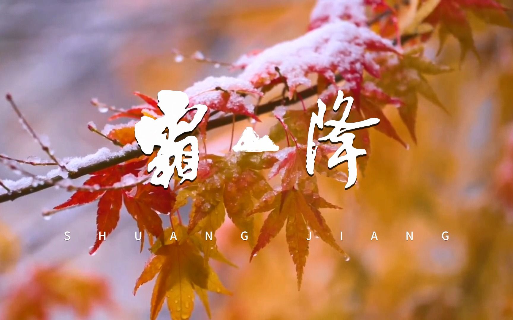 【霜降】秋将逝,冬将至,芳条结寒翠,请君添暖衣!