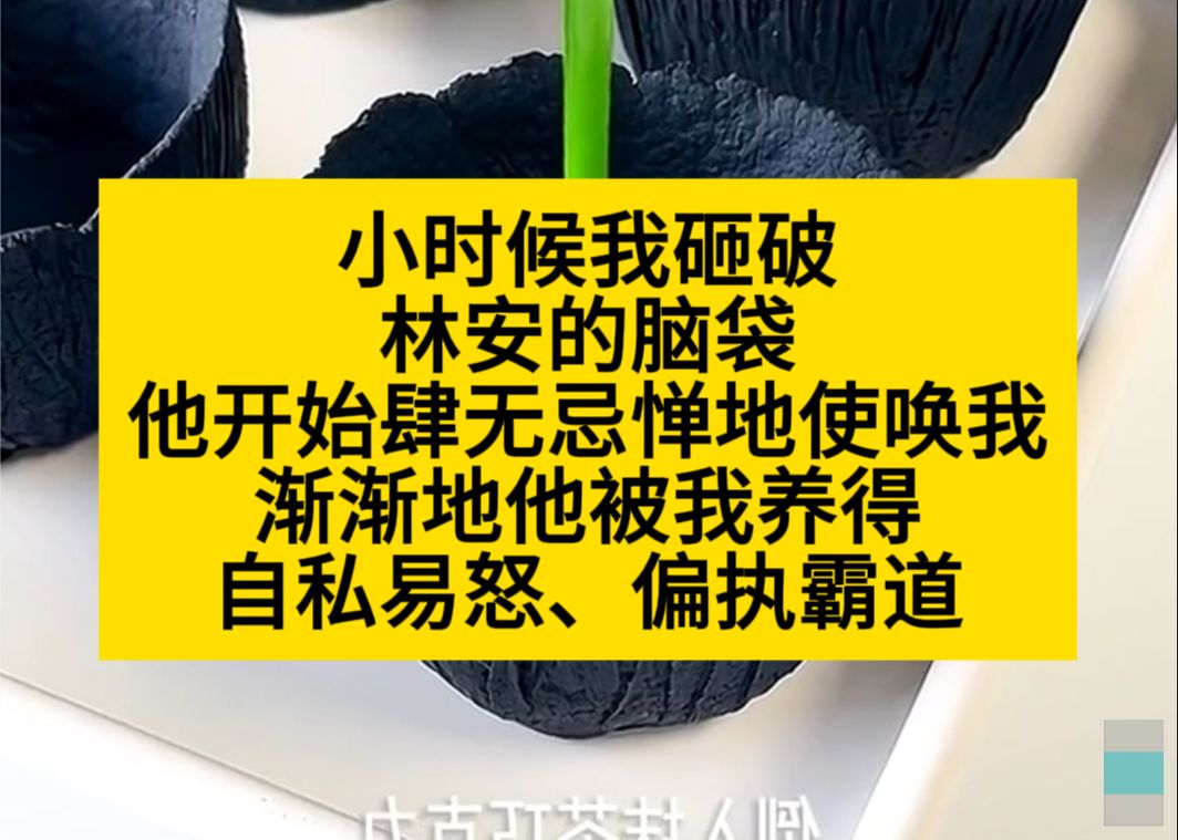 小时候,我砸破了林安的脑袋,他开始肆无忌惮使唤我,渐渐被我养的自私易怒……小说推荐哔哩哔哩bilibili