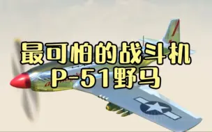 Download Video: 教科书级的设计，P-51野马战斗机到底有多可怕？看得我直冒冷汗！