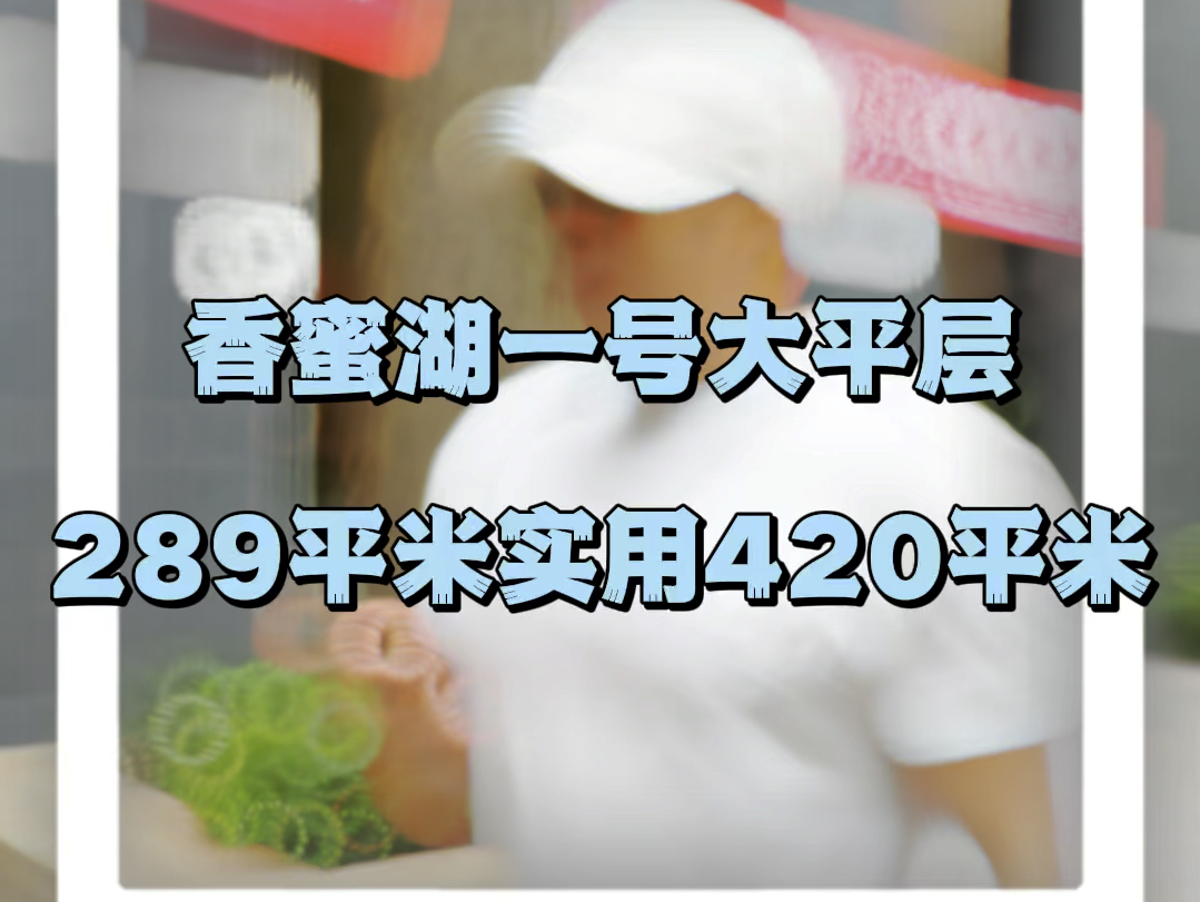 香蜜湖一号这套287平米的大平面喜欢吗?哔哩哔哩bilibili