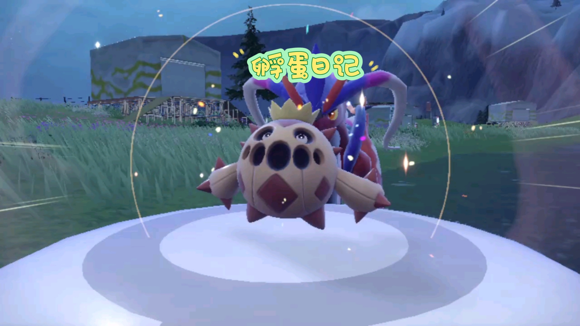 孵蛋日记——171,小次郎大将刺球仙人掌(沙漠奈亚)