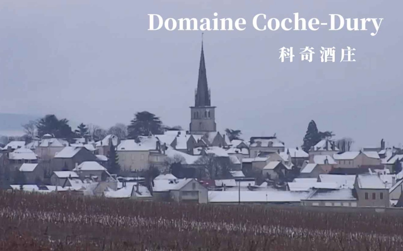 B008 B8.1 科奇酒庄 Domaine CocheDury 法语 酒庄介绍 11'27哔哩哔哩bilibili