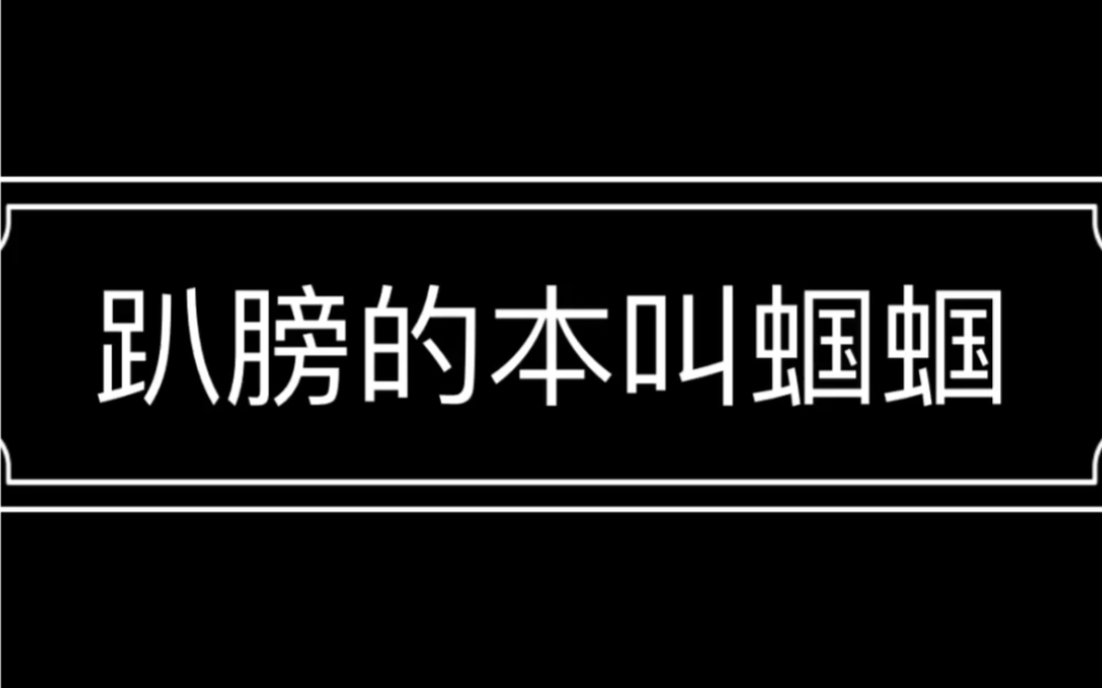 一条趴膀的本叫蝈蝈叫声哔哩哔哩bilibili