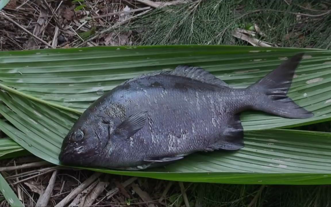 [图]300 天荒岛求生