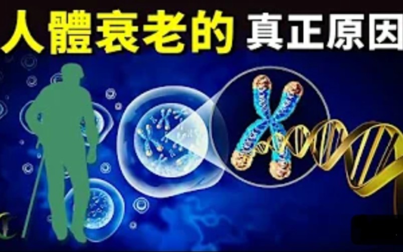 [图]人体为何会衰老?破解基因里的长寿密码 |(生命,未解之谜,DNA,端粒,科普,生物,寿命,细胞)