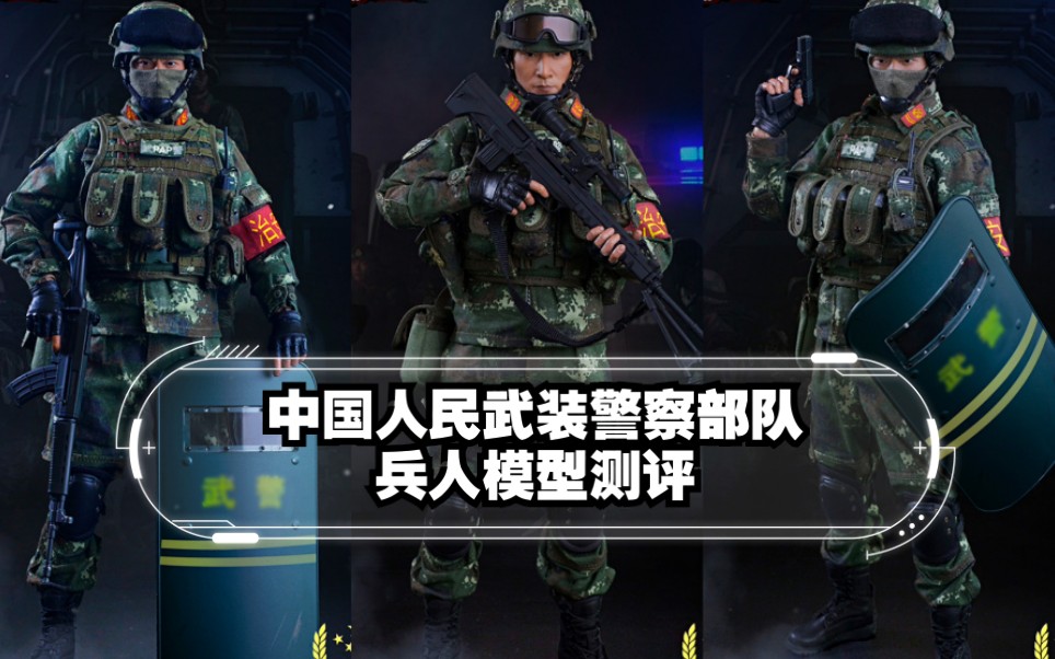 flagset 73028 中国人民武装警察部队 人民子弟兵 pap capf 武警单兵