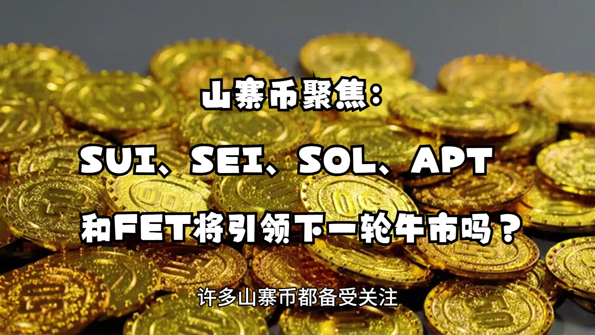 山寨币聚焦:SUI、SEI、SOL、APT 和 FET 将引领下一轮牛市吗?哔哩哔哩bilibili