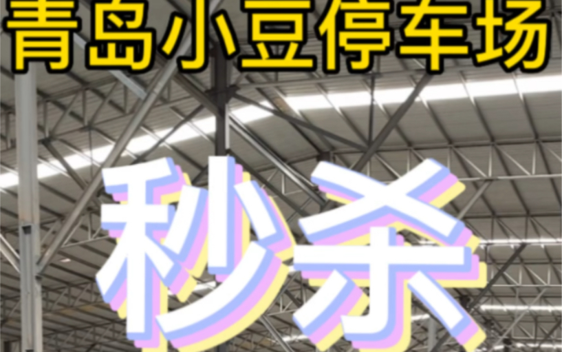 青岛胶东机场停车 青岛胶东机场小豆停车场哔哩哔哩bilibili