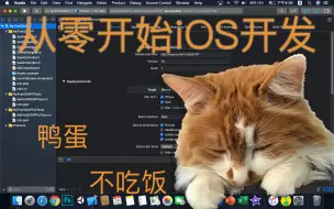 Tải video: 零基础iOS开发学习记录 第一章：OC与XCode的基础知识