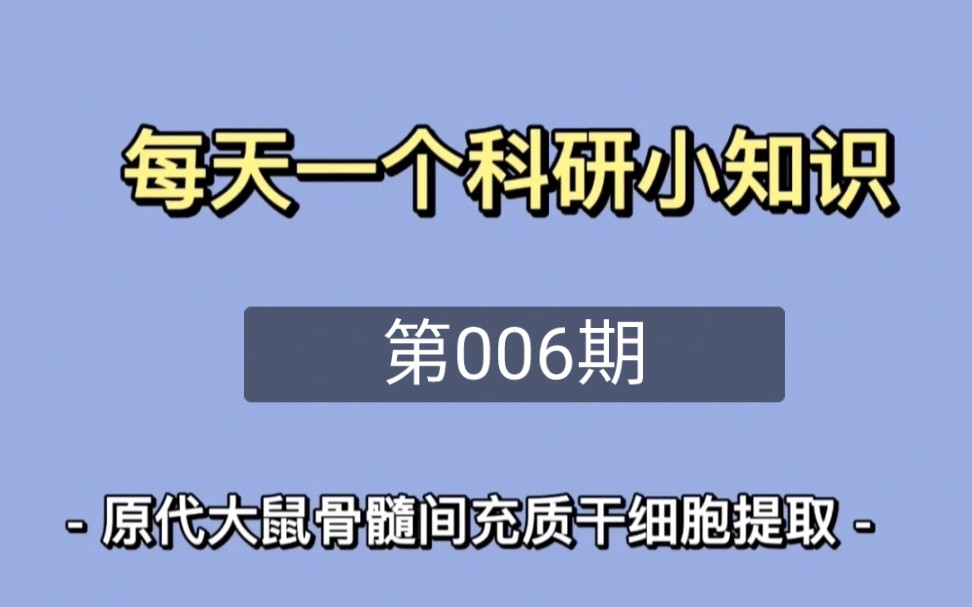 博士日常006期/ 原代大鼠骨髓间充质干细胞 提取方法分享哔哩哔哩bilibili