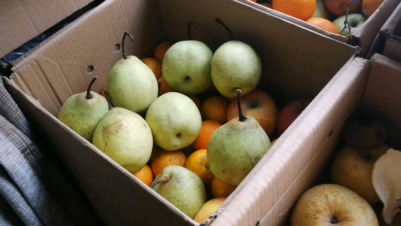 网购冻的鸭梨恢复了之一——仔细品尝下.2021年1月2日