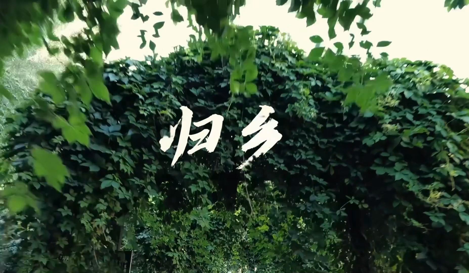 《归乡》