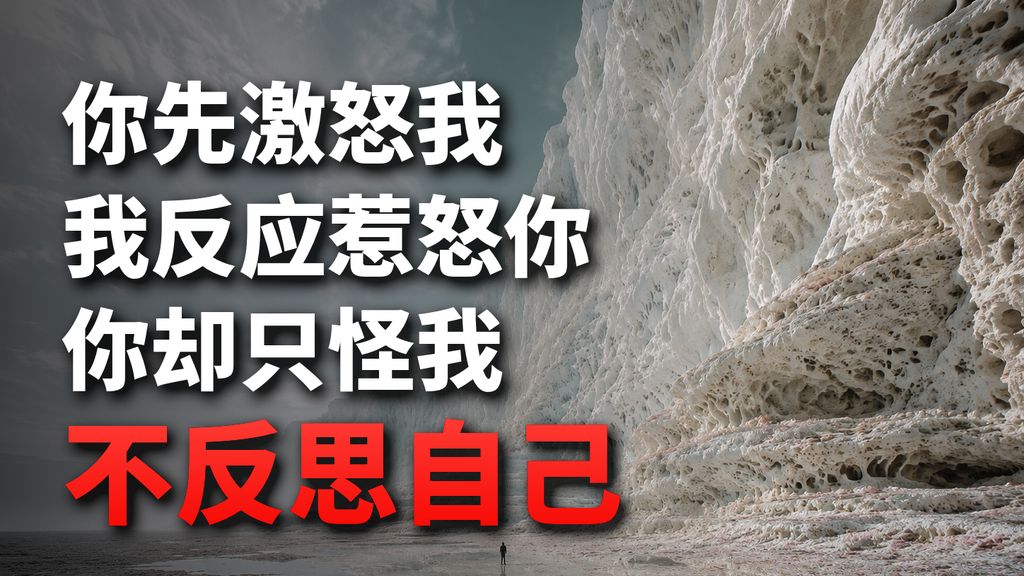 你的行为激怒了我，我的反应惹怒了你，于是你指责我的反应，而不是反思你自己的行为。