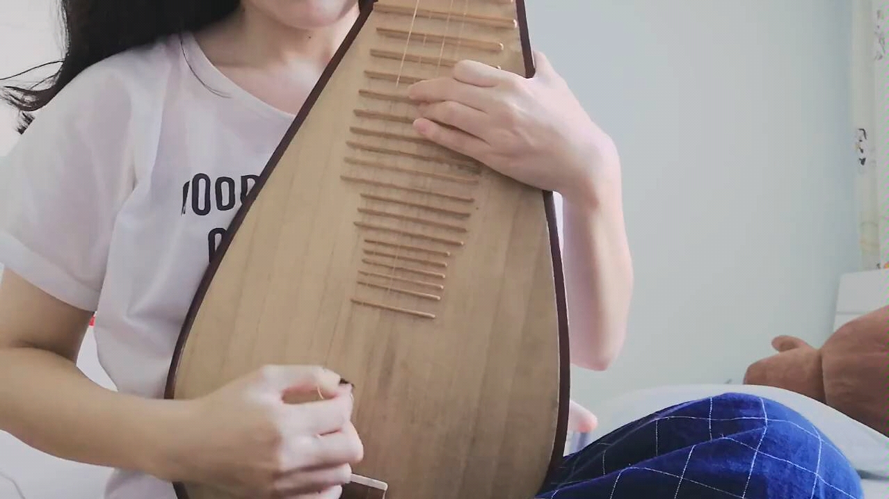 【琵琶】秦淮景